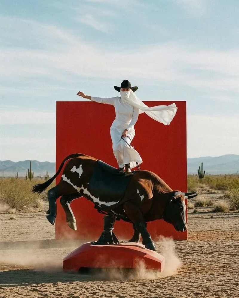 Mechanical Bull · by Sard · mechanical bull, desert scene, red backdrop