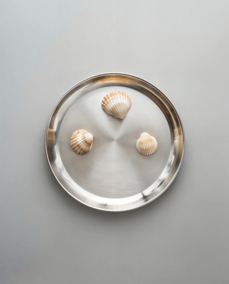 Shell Game · by SQUAD · seashells, silver tray, minimal still life
